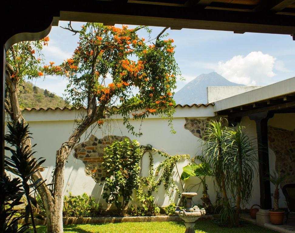 Готель La Casa De Don Pedro Antigua Екстер'єр фото